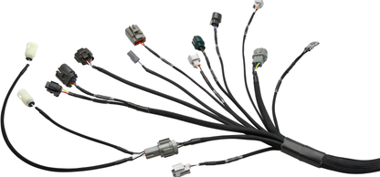 Wiring Specialties Rb25Det 350Z - RB25DET NEO Harness 350Z PRO Series WRS-PRORB25NEO-350Z