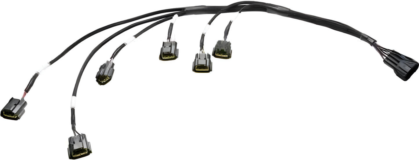 Wiring Specialties RB25DET S2 Coilpack Harness - PRO SERIES *DISCONTINUED Main Photo