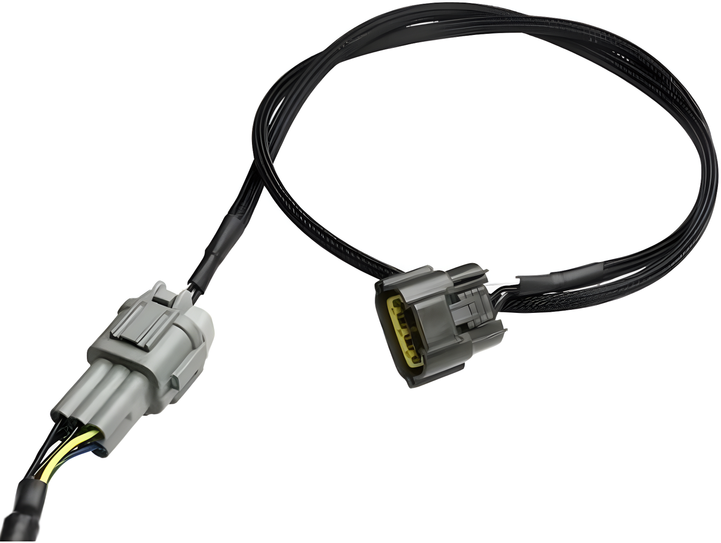 Wiring Specialties Rb25Det Pro - Standalone RB25DET NEO PRO Series Harness Universal WRS-PRORB25NEO-UNI