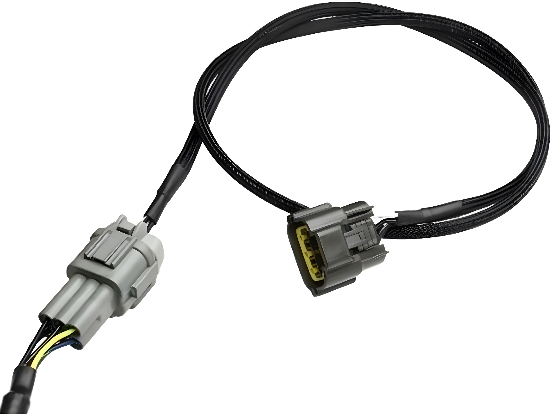 Wiring Specialties Rb25Det Pro - Standalone RB25DET NEO PRO Series Harness Universal WRS-PRORB25NEO-UNI