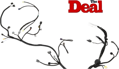Wiring Specialties Rb25Det S14 - RB25DET Harness S14 240SX OEM Series COMBO WRS-RB25S14-COMBO