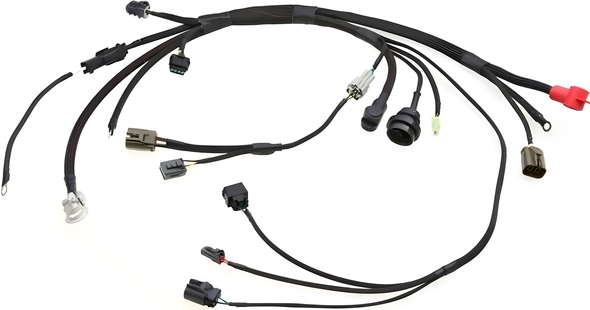 Wiring Specialties Rb25Det S14 - RB25DET Transmission Harness for S14 240SX OEM SERIES WRS-RB25S14-TRN