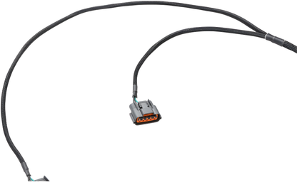 Wiring Specialties Rb26Dett 350Z - RB26DETT PRO Series Harness for 350Z – Part WRS-PRORB26-350Z