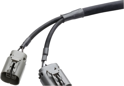 Wiring Specialties Rb26Dett Front - RB26DETT PRO Series Harness Universal WRS-PRORB26-UNI