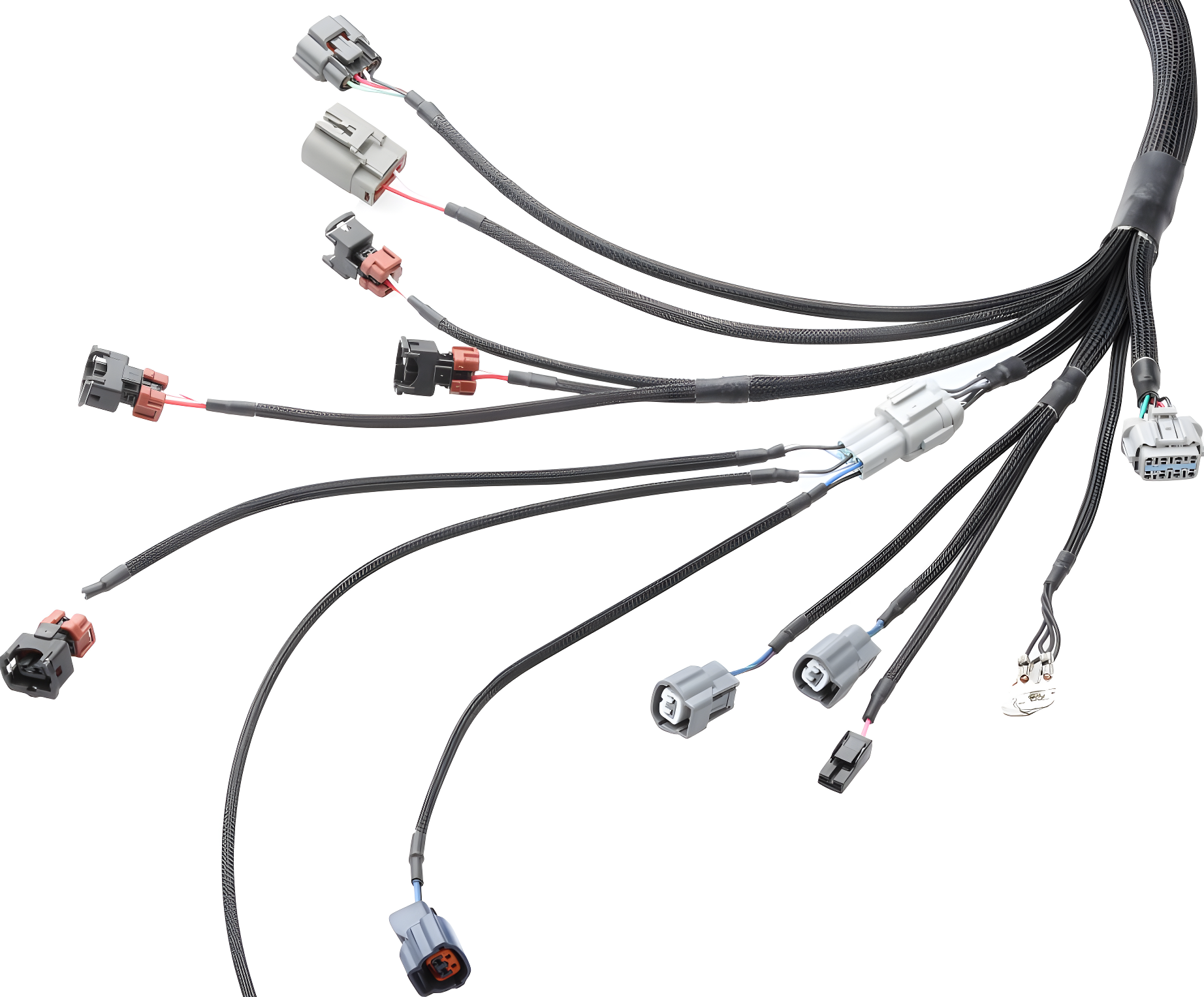 Wiring Specialties Rb26Dett Front - RB26DETT PRO Series Harness for S14 200SX LHD EURO – WRS-PRORB26-S14EURO