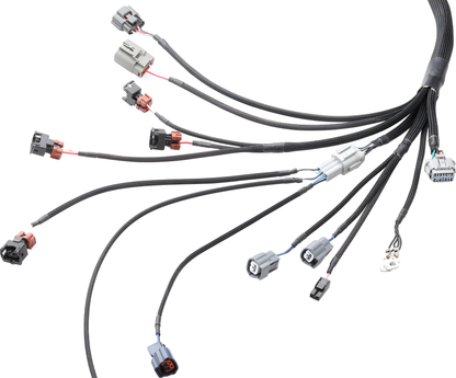 Wiring Specialties Rb26Dett Front - RB26DETT PRO Series Harness for S14 200SX LHD EURO – WRS-PRORB26-S14EURO