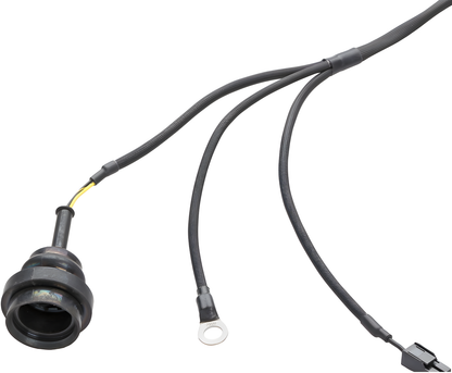 Wiring Specialties Rb26Dett Pro - RB26DETT PRO Series Harness for BMW E46 – WRS-PRORB26-E46
