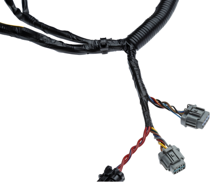 Wiring Specialties Rb26Dett R33 - RB26DETT Wiring Harness COMBO for R33 Skyline GTR OEM SERIES
