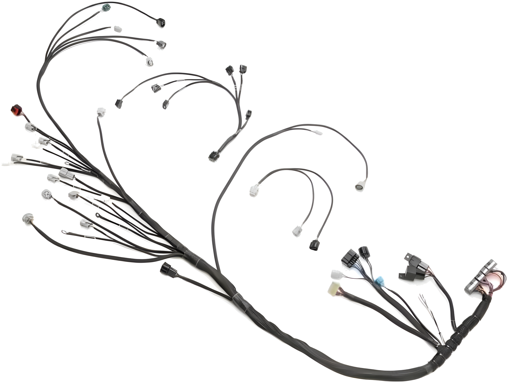 Wiring Specialties S13 Front - 1JZGTE PRO Series Harness for Nissan S13 200sx (LHD EURO) – WRS-PRO1JZ-200SX