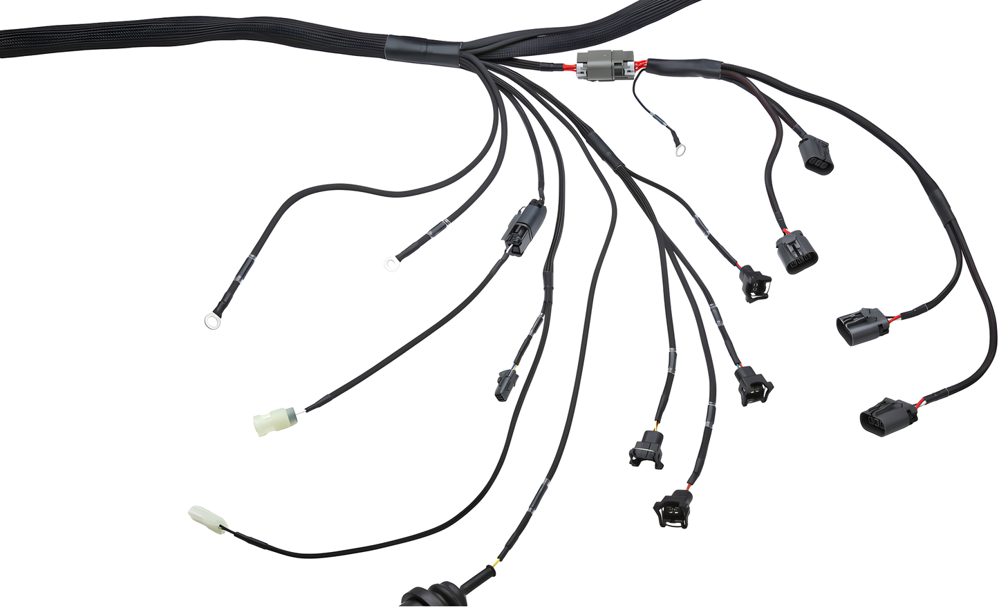 Wiring Specialties S13 Front - CA18DET Harness for S13 200sx (LHD EURO) - PRO SERIES WRS-PROCA18-200SX