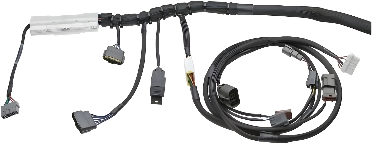 Wiring Specialties S13 Pro - RB20DET PRO Series Harness for S13 240SX – WRS-PRORB20-S13