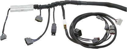 Wiring Specialties S13 Pro - RB20DET PRO Series Harness for S13 240SX – WRS-PRORB20-S13