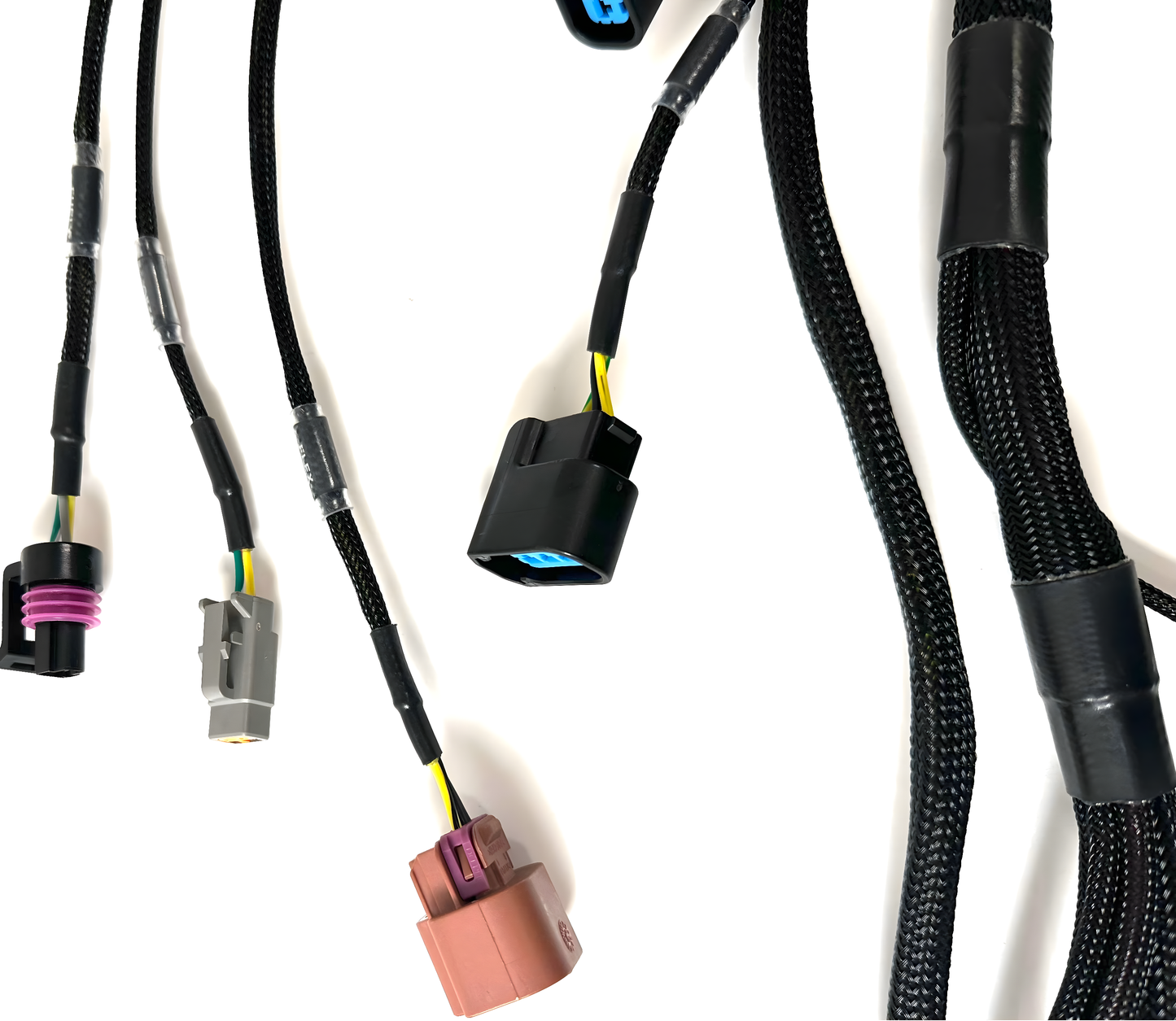 Wiring Specialties S14 Front - K24 PRO Series Harness for Nissan S14 240SX WRS-PROK20K24-LINKHALECU-S14-240SX