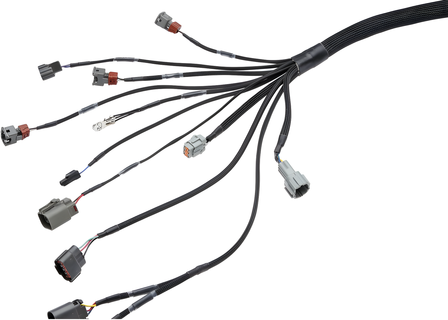 Wiring Specialties S14 Front - RB20DET Harness S14 PRO Series WRS-PRORB20-S14EURO