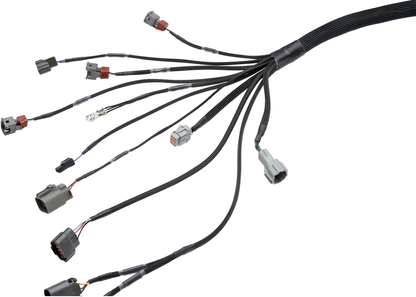 Wiring Specialties S14 Front - RB20DET Harness S14 PRO Series WRS-PRORB20-S14EURO