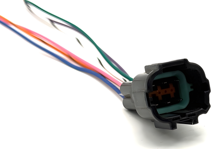 Wiring Specialties Sr20Det Connector Complete - SR20DET 6-Pin Connector (Black) - Male NISS6PINB-M