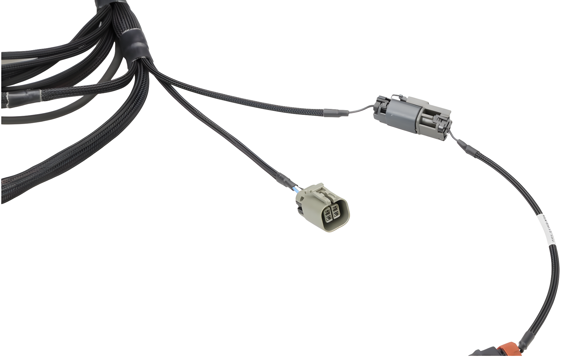Wiring Specialties Sr20Det Front - SR20DET PRO Series Harness for Nissan S-Chassis VVL – Part WRS-PROSR20-VVL-PNP