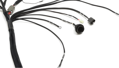 Wiring Specialties Sr20Det Front - S14 SR20DET PRO Series Harness for Z32 300ZX WRS-PROS14SR20-Z32