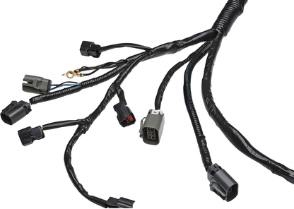 Wiring Specialties Sr20Det Front - SR20DET PRO Series Harness for S13 240SX – WRS-S13S13-MAIN