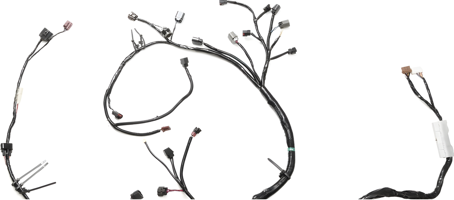 Wiring Specialties Sr20Det Front - SR20DET Harness S13 OEM Series WRS-S13S13-COMBO