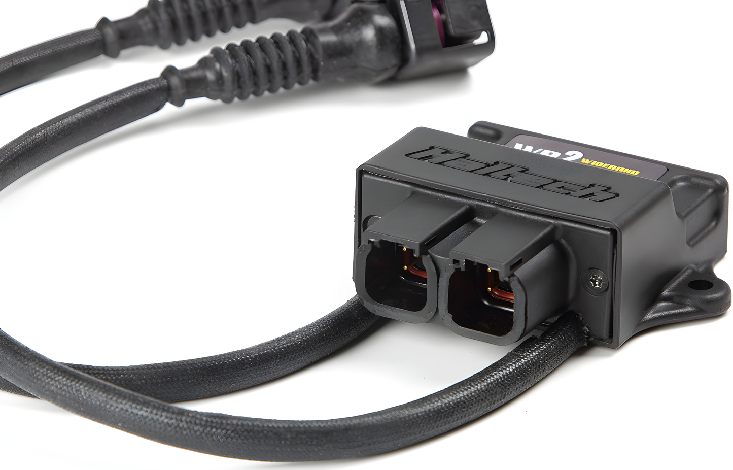 Wiring Specialties SR20DET Kit for Haltech WB2 Dual Channel CAN O2 Wideband Controller – HT-159986 Main Photo