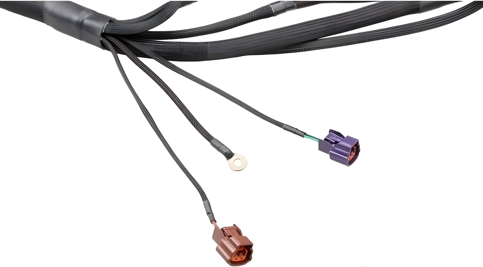 Wiring Specialties Sr20Det S13 - SR20DET PRO Series Harness for S13 240SX – WRS-PROS14SR20-S13