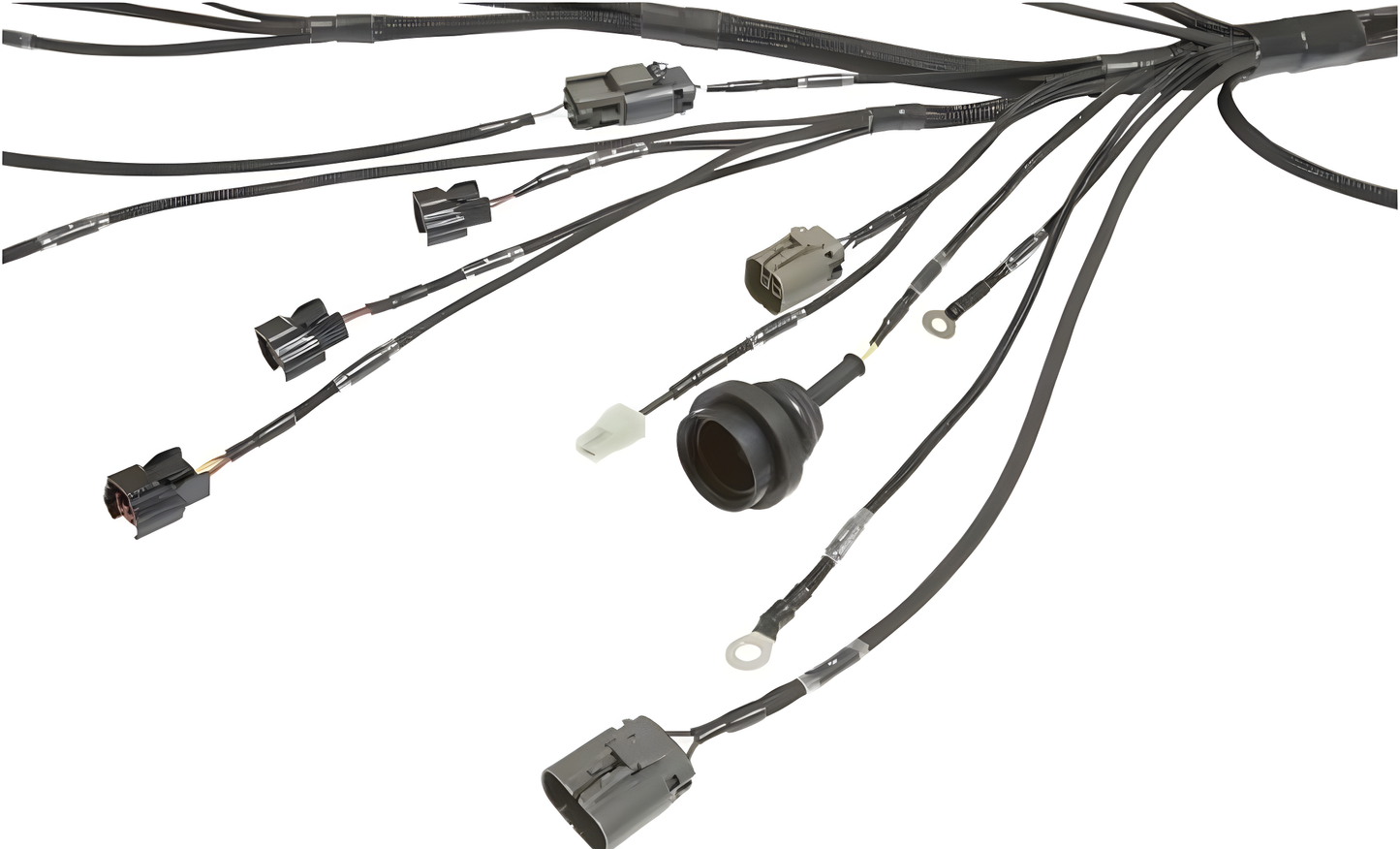 Wiring Specialties Sr20Det S13 - SR20DET S13 PRO Series Harness WRS-PROS13SR20-DAT