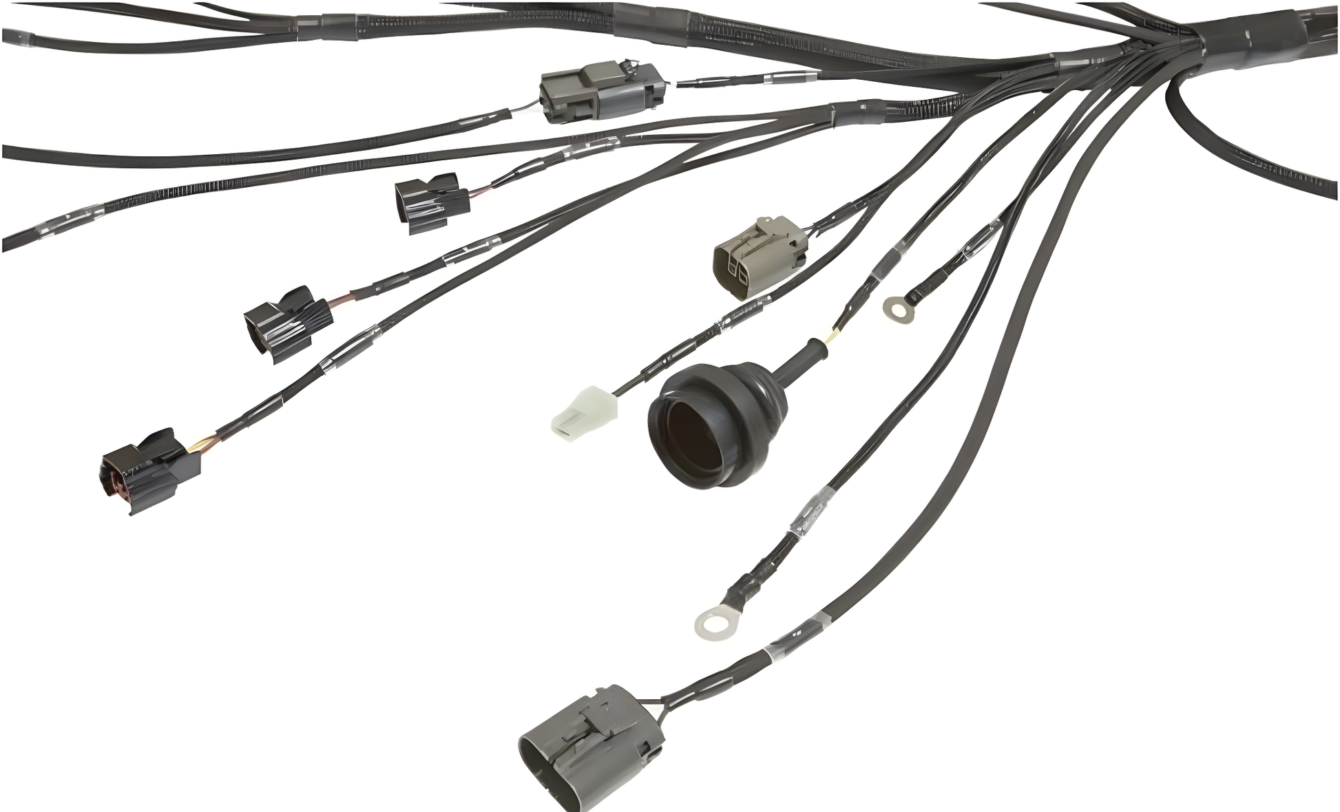 Wiring Specialties Sr20Det S13 - SR20DET S13 PRO Series Harness WRS-PROS13SR20-DAT