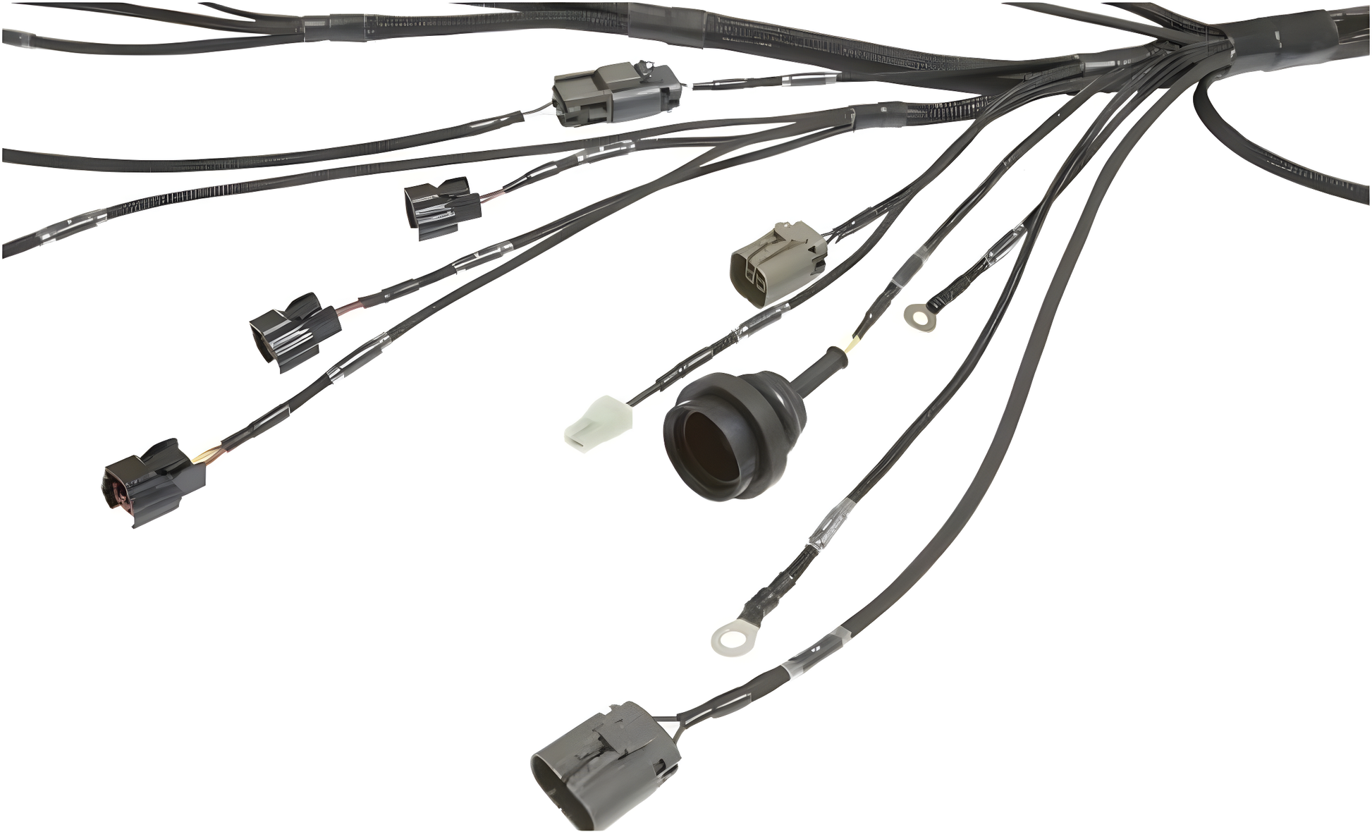Wiring Specialties Sr20Det S13 - S13 SR20DET PRO Series Harness for S13 200sx LHD EURO WRS-PROS13SR20-200SX