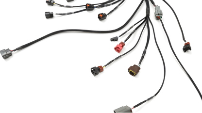 Wiring Specialties Sr20Det S13 - SR20DET PRO Series Harness for S13 WRS-PROS13SR20-FRS-BRZ