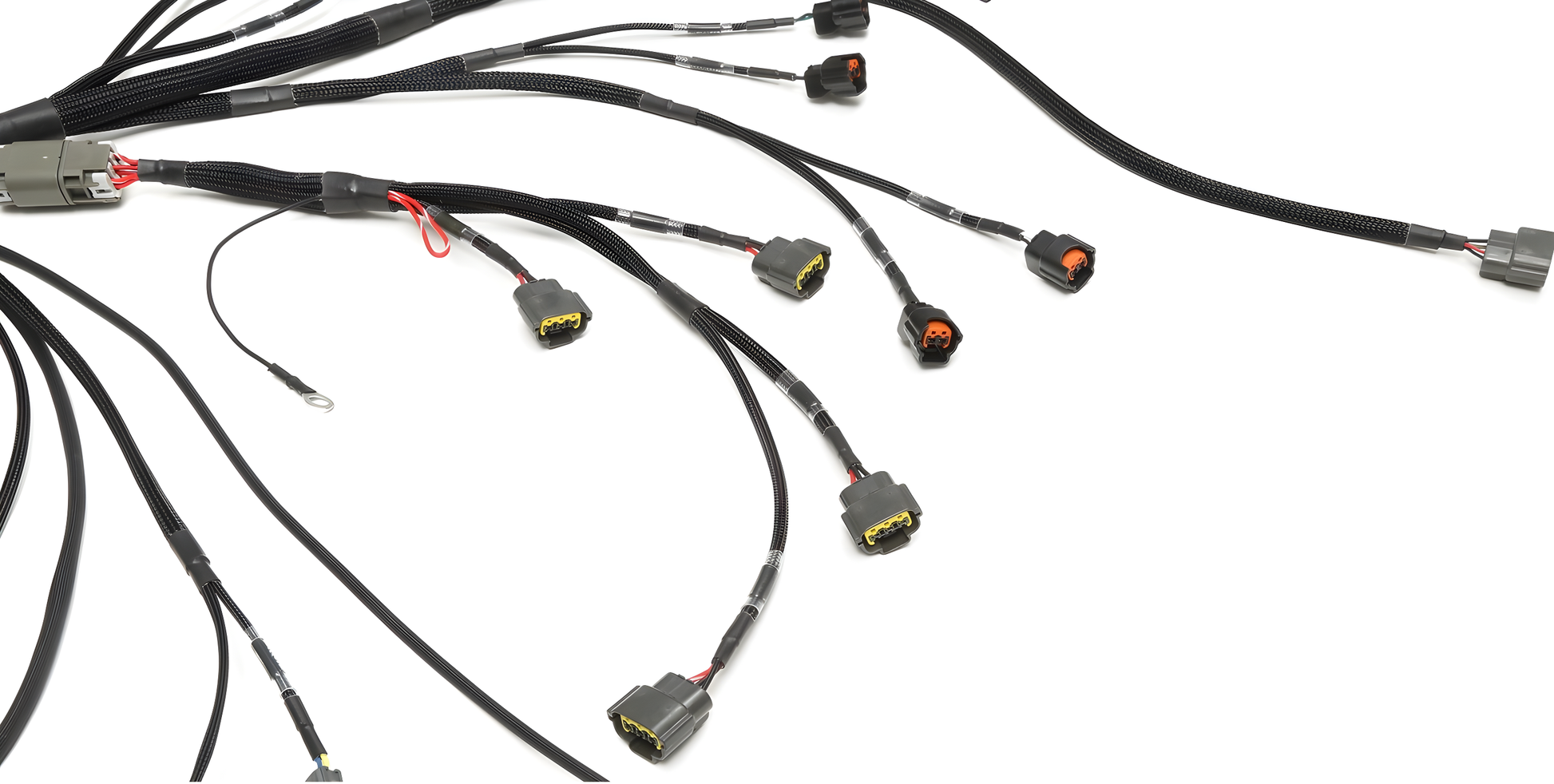 Wiring Specialties Sr20Det S14 - S14 SR20DET PRO Series Harness for Z32 300ZX WRS-PROS14SR20-Z32