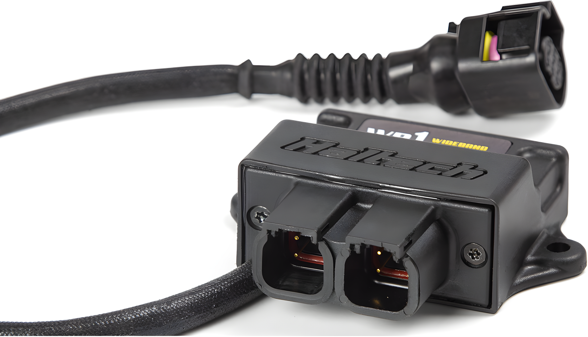 Wiring Specialties Sr20Det Sensor Complete - SR20DET Haltech WB1 CAN Wideband O2 Controller Kit (Sensor & Harness) HT-159976