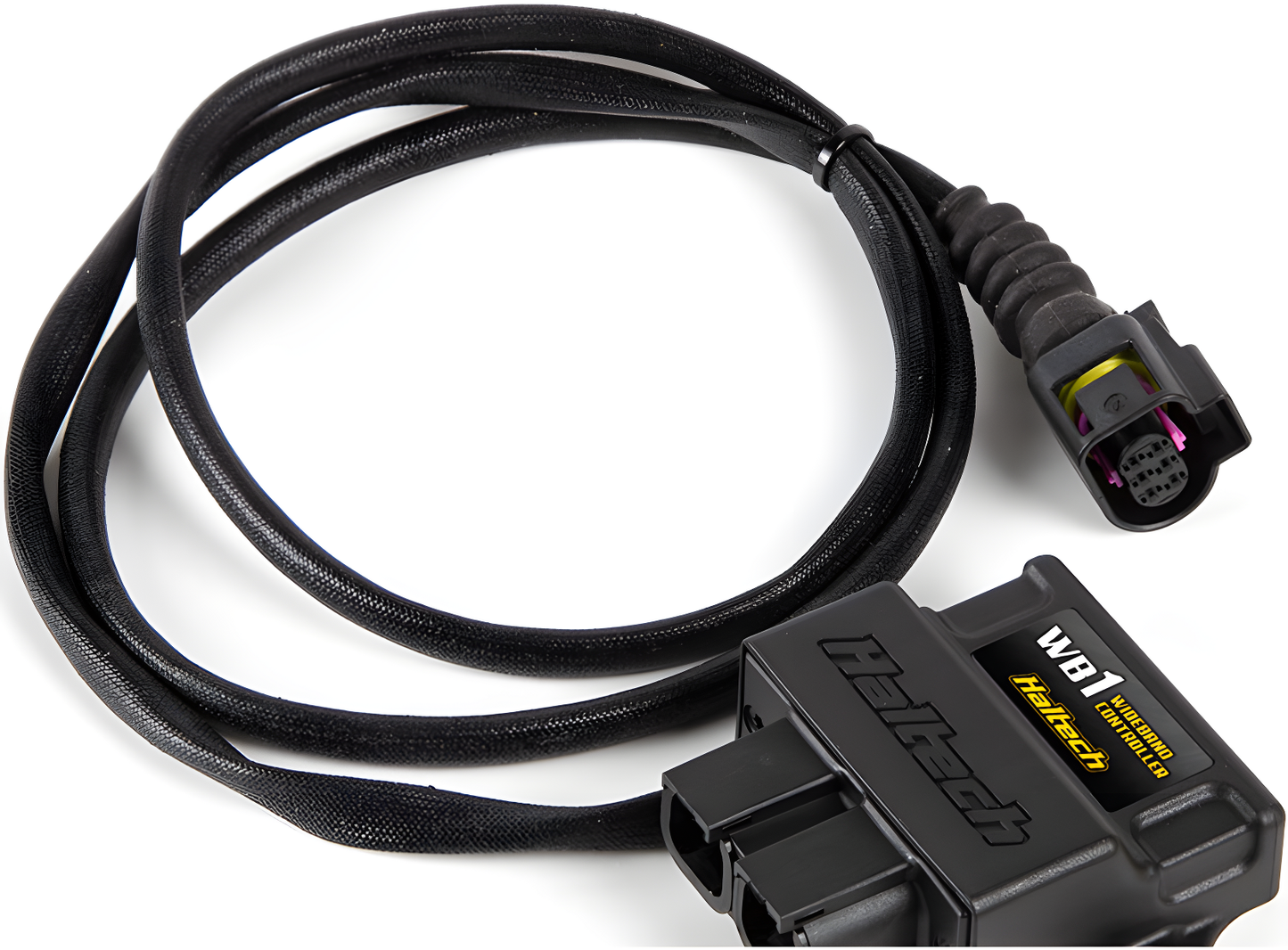 Wiring Specialties Sr20Det Sensor - SR20DET Haltech WB1 CAN Wideband O2 Controller Kit (Sensor & Harness) HT-159976