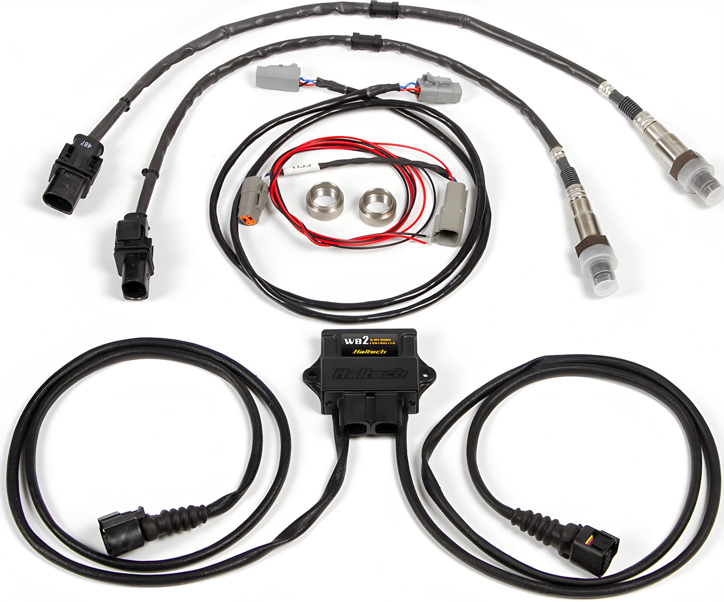 Wiring Specialties Sr20Det View - SR20DET Kit for Haltech WB2 Dual Channel CAN O2 Wideband Controller – HT-159986