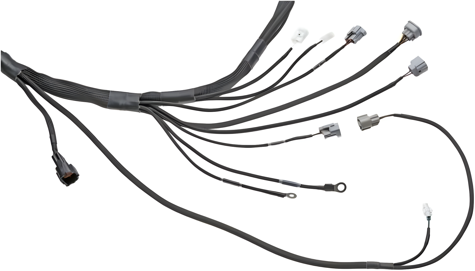 Wiring Specialties Wire Routing Diagram - 1JZGTE PRO Series Harness for Nissan S13 200sx (LHD EURO) – WRS-PRO1JZ-200SX