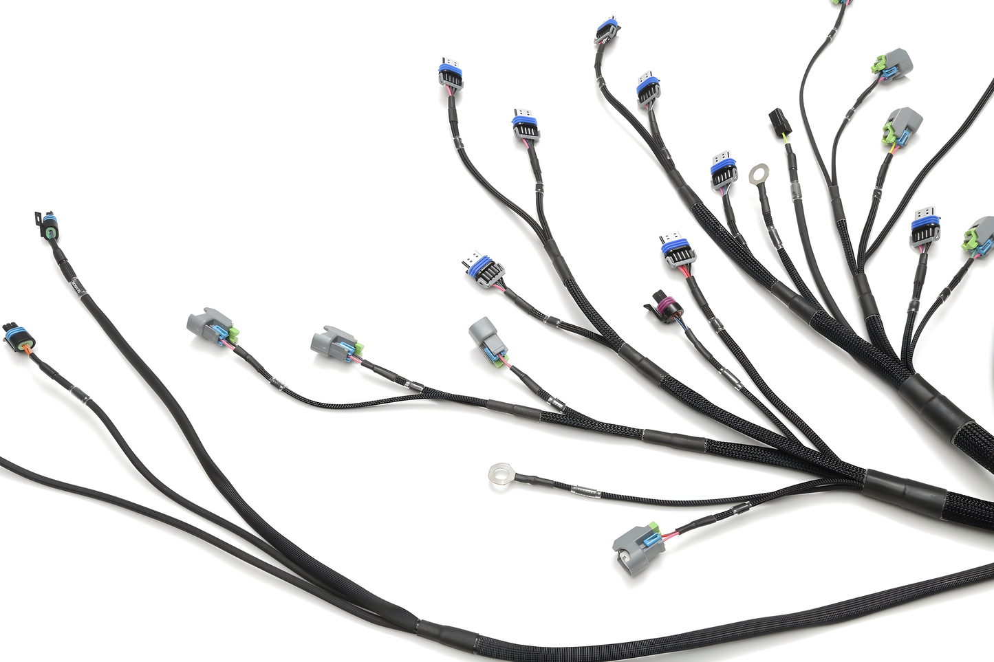 Wiring Specialties Wire Routing Diagram - LS3 Gen IV Harness for Datsun - PRO SERIES WRS-PROLS3-DAT