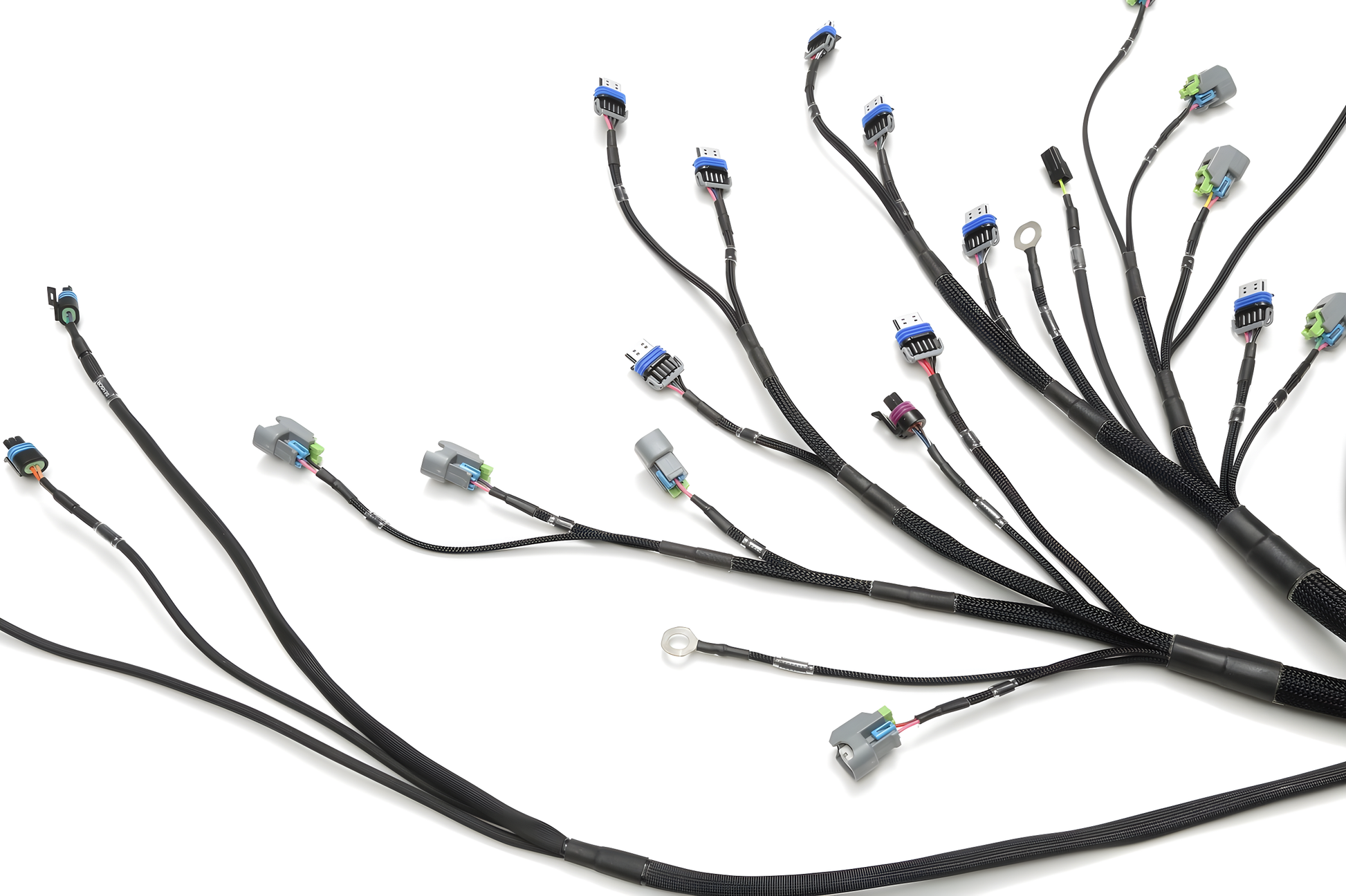 Wiring Specialties Wire Routing Diagram - LS3 Gen IV Harness for Datsun - PRO SERIES WRS-PROLS3-DAT