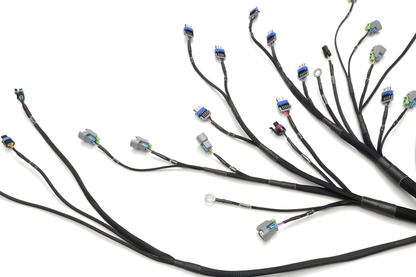 Wiring Specialties Wire Routing Diagram - LS3 Gen IV Harness for Datsun - PRO SERIES WRS-PROLS3-DAT