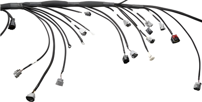 Wiring Specialties Wire Routing Diagram - 2JZGTE PRO Series Harness S13 WRS-PRO2JZ-DAT