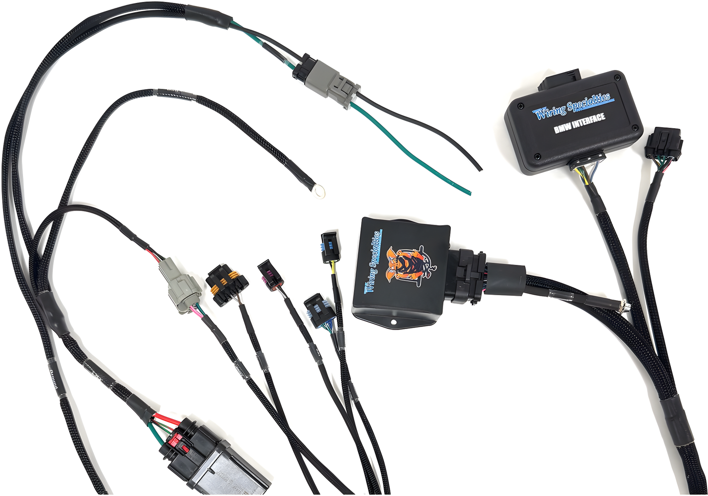 Wiring Specialties Wire Routing Diagram - LS1 PRO Series Harness for BMW E46 – WRS-PROLS1-E46