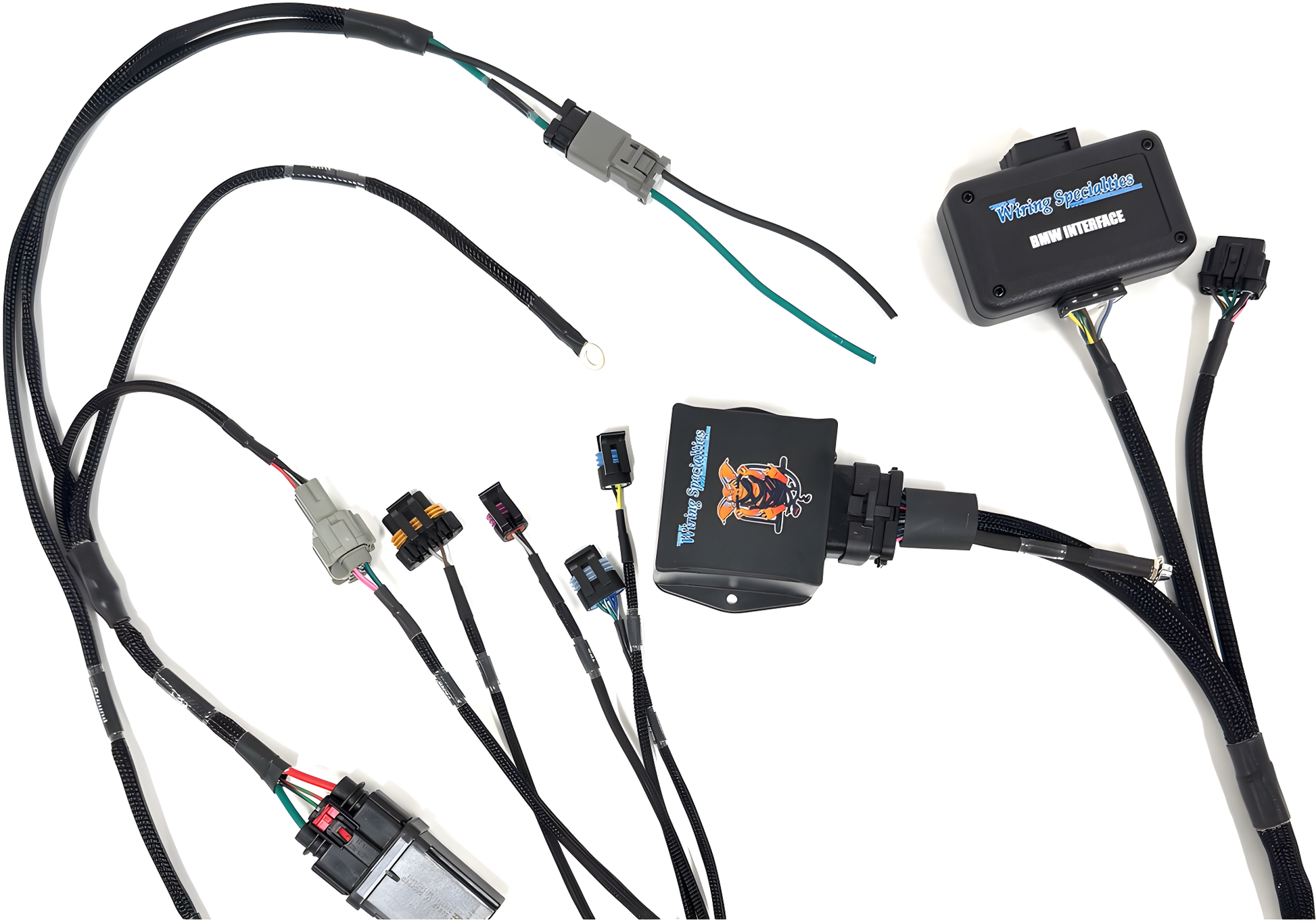 Wiring Specialties Wire Routing Diagram - LS1 PRO Series Harness for BMW E46 – WRS-PROLS1-E46