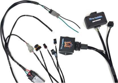 Wiring Specialties Wire Routing Diagram - LS1 PRO Series Harness for BMW E46 – WRS-PROLS1-E46
