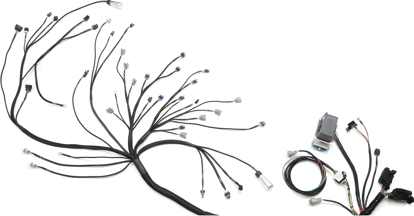 Wiring Specialties Wire Routing Diagram - LS3 Gen IV Harness for Nissan S14 240SX - PRO SERIES WRS-PROLS3-S14
