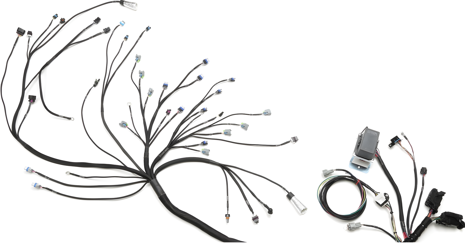 Wiring Specialties Wire Routing Diagram - LS3 Gen IV Harness for Nissan S14 240SX - PRO SERIES WRS-PROLS3-S14