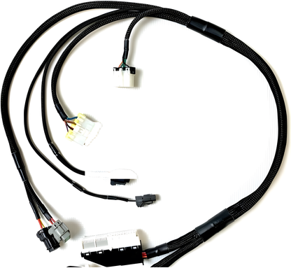 Wiring Specialties Wire Routing Diagram - 1JZGTE VVTi ETCSi Wiring Harness for S14 200sx (LHD EURO) - PRO SERIES WRS-PRO1JZVVTI-ETCSI-S14EURO