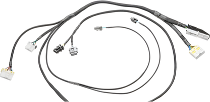Wiring Specialties Wire Routing Diagram - S13 KA24DE DOHC PRO Series Harness for RHD JDM S14 Silvia (WRS-PROS13KA24-S14JDM)