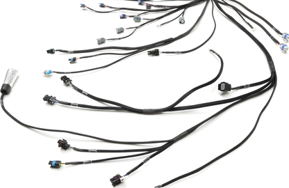 Wiring Specialties Wire Routing Diagram - LH6/LY5/LMG/LH8 5.3L PRO Series Harness – Part WRS-PRO53-UNI