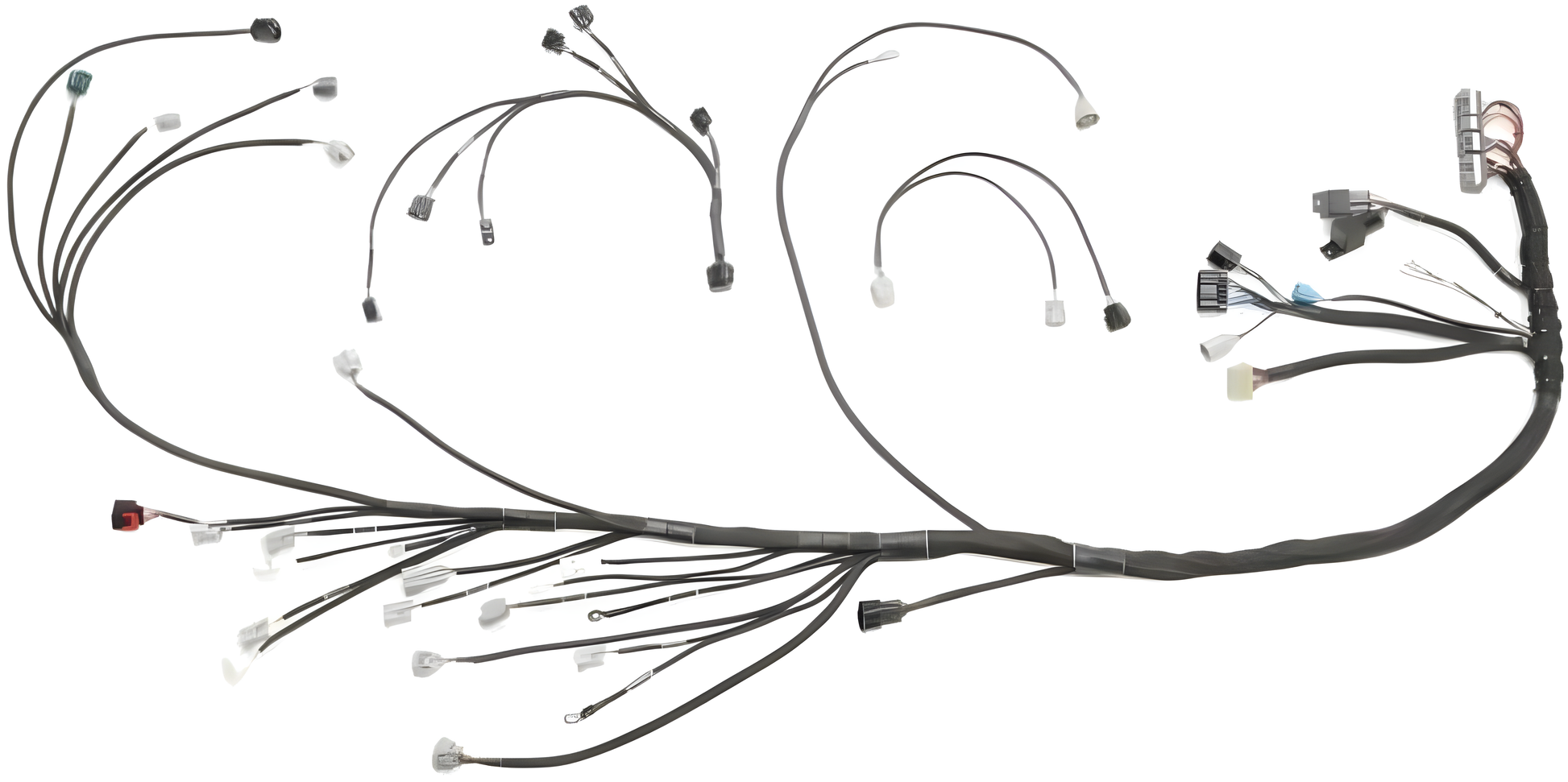 Wiring Specialties Wire Routing Diagram - 1JZGTE PRO Series Harness for Nissan S13 200sx (LHD EURO) – WRS-PRO1JZ-200SX