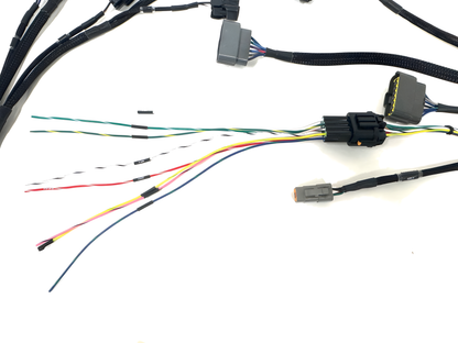 Wiring Specialties Wire Routing Diagram - VG30DETT Harness 300ZX / Fairlady Z32 PRO ECU SERIES WRS-VG30-HTE2500-PRO