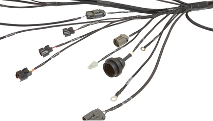 Wiring Specialties Wire Routing Diagram - SR20DET PRO Series Harness for Nissan S-Chassis VVL – Part WRS-PROSR20-VVL-PNP